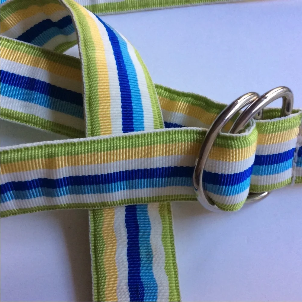 Molly B. D Ring Striped Ribbon Belt Green Yellow and Blue Youth M/L